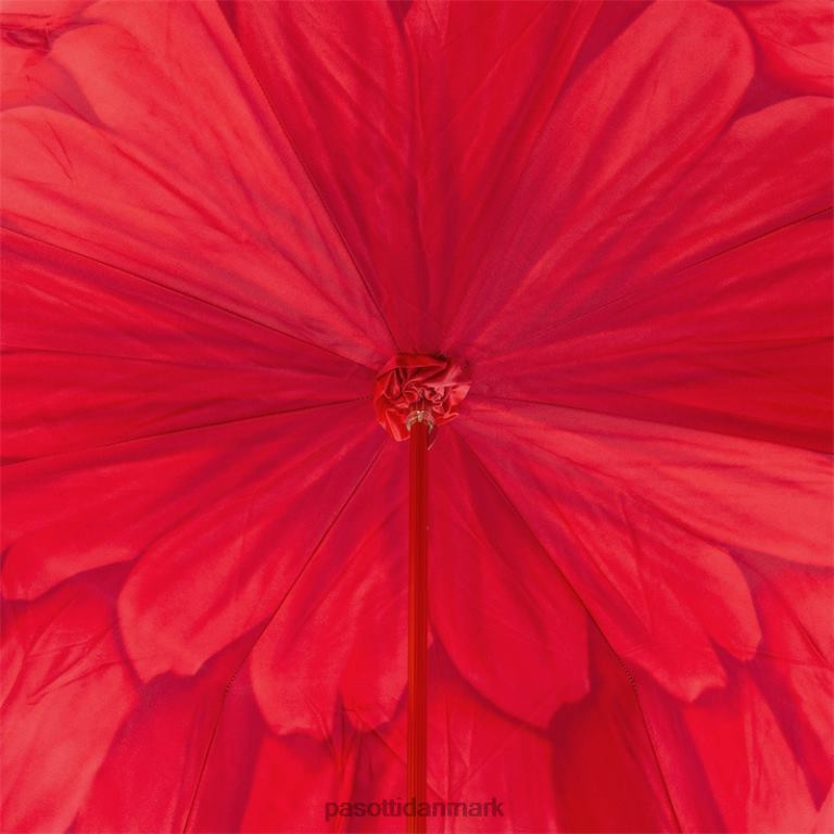 Kvinder PASOTTI 189 21065-21 a - rød dahlia paraply, dobbelt stof 824L2331