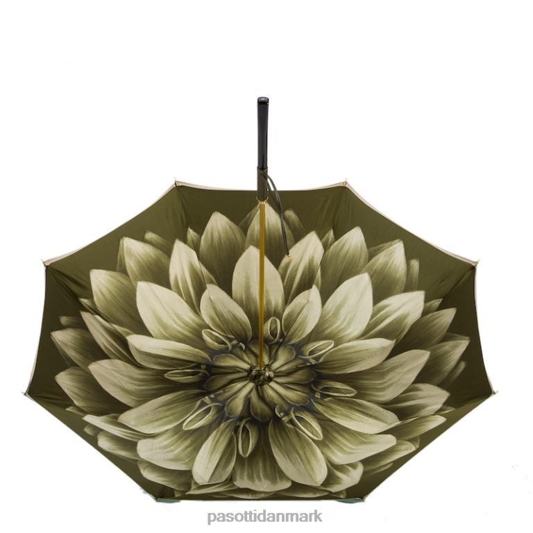 Kvinder PASOTTI 189 21273-13 h15 - grøn dahlia paraply, dobbelt klud 824L2376