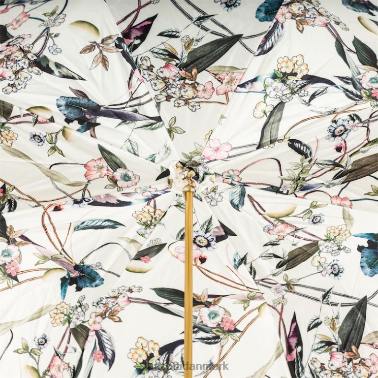 Kvinder PASOTTI 189 5k341-5 c22 - olivengrøn paraply 824L2341