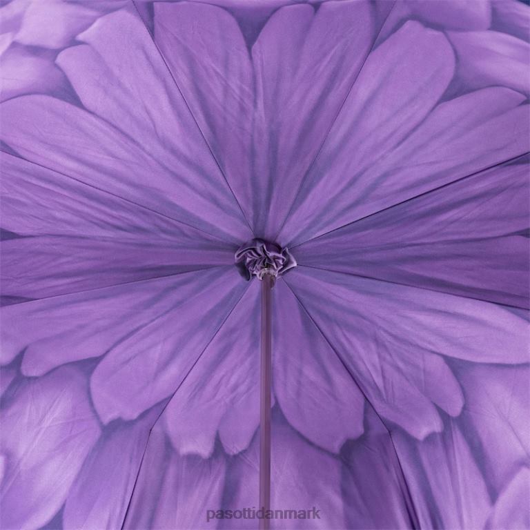 Kvinder PASOTTI 189n 21065-71 s13 - lilla dahlia paraply, dobbelt klud 824L2382