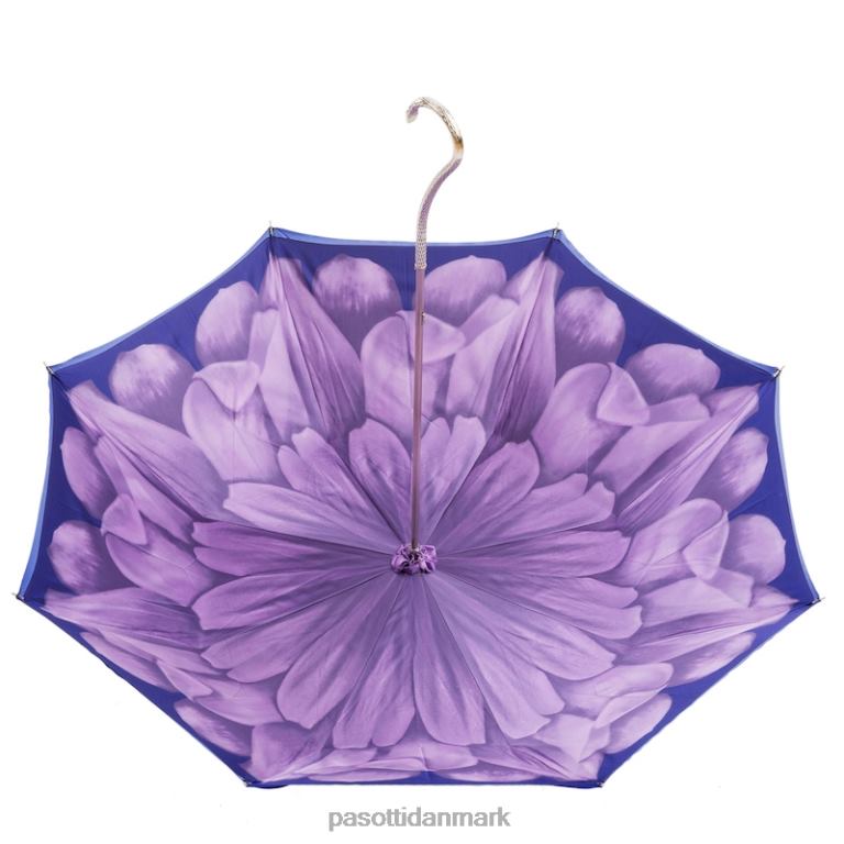 Kvinder PASOTTI 189n 21065-71 s13 - lilla dahlia paraply, dobbelt klud 824L2382