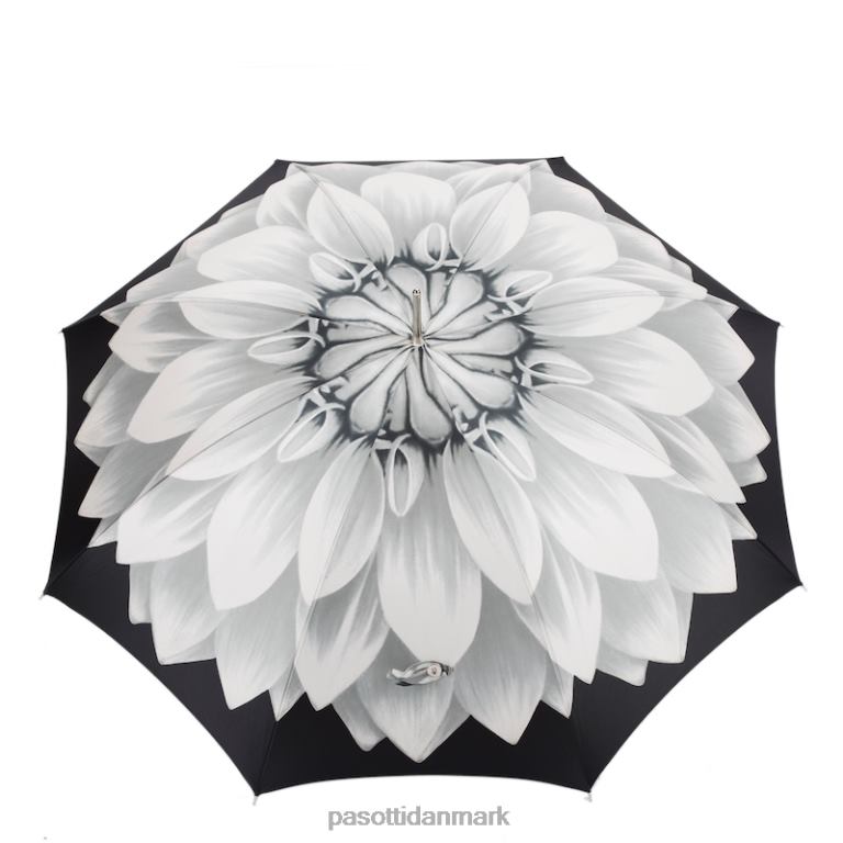 Kvinder PASOTTI 460n 21273-11 g15 - solsikkeparaply i sølv 824L2391