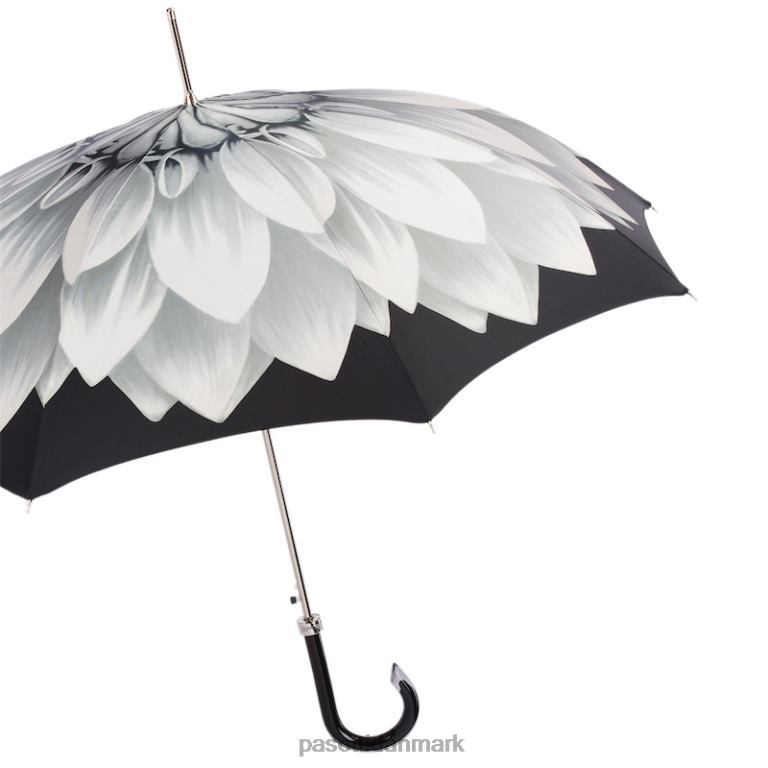 Kvinder PASOTTI 460n 21273-11 g15 - solsikkeparaply i sølv 824L2391