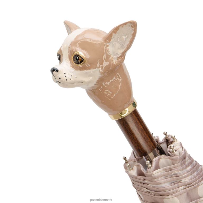 Kvinder PASOTTI 257 55874-153 k70pa - sammenklappelig chihuahua 824L2595