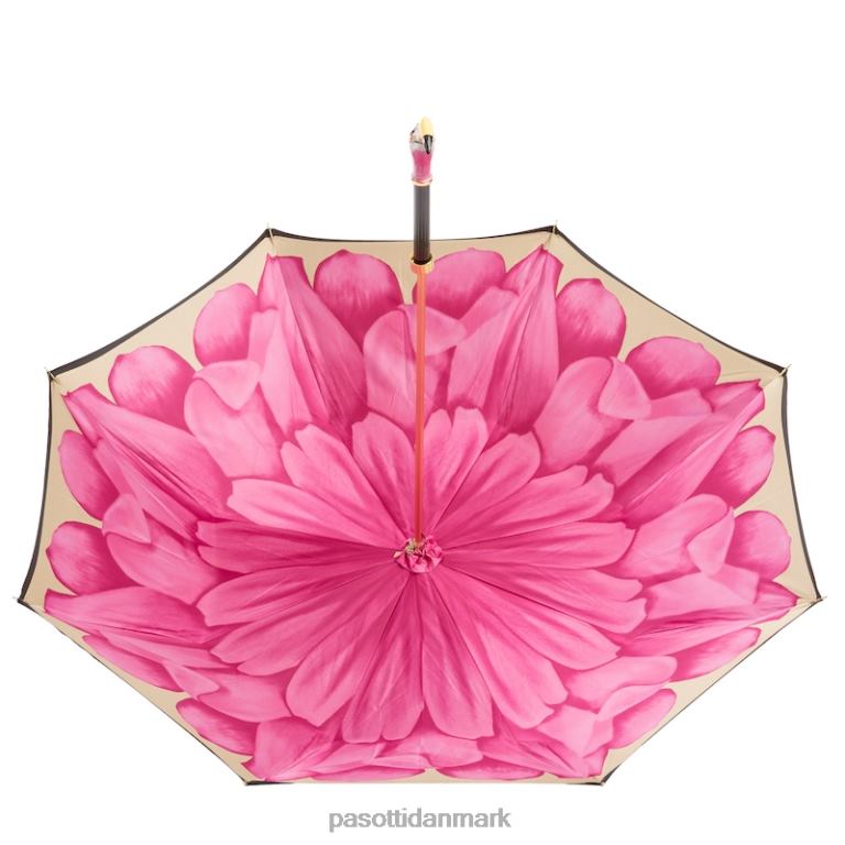 Kvinder PASOTTI 189 21065-30 k9 - flamingo paraply 824L2506
