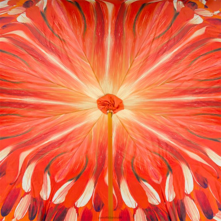 Kvinder PASOTTI 189 30093-4 k3 - toucanumbrella 824L2509