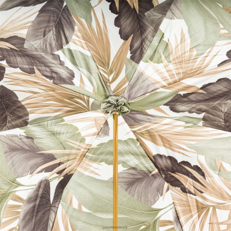 Kvinder PASOTTI 189 55123-276 k32 - elefantparaply m 824L2493