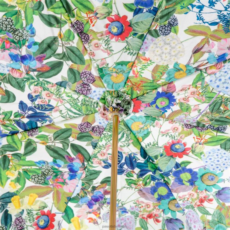 Kvinder PASOTTI 189 5l011-2 k28 - calla paraply 824L2499