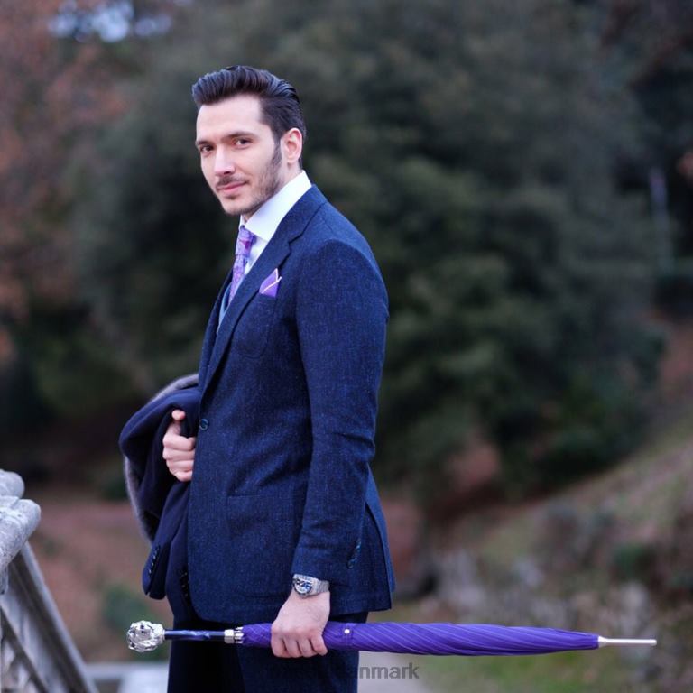 Mænd PASOTTI 478 1084-7 w37pv - lilla paraply med sølvløvehåndtag 824L261