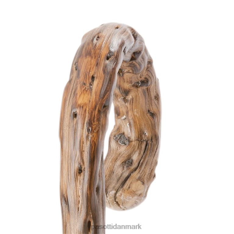 Mænd PASOTTI 476f oxf-14 g - navy paraply med gorse wood håndtag 824L2103