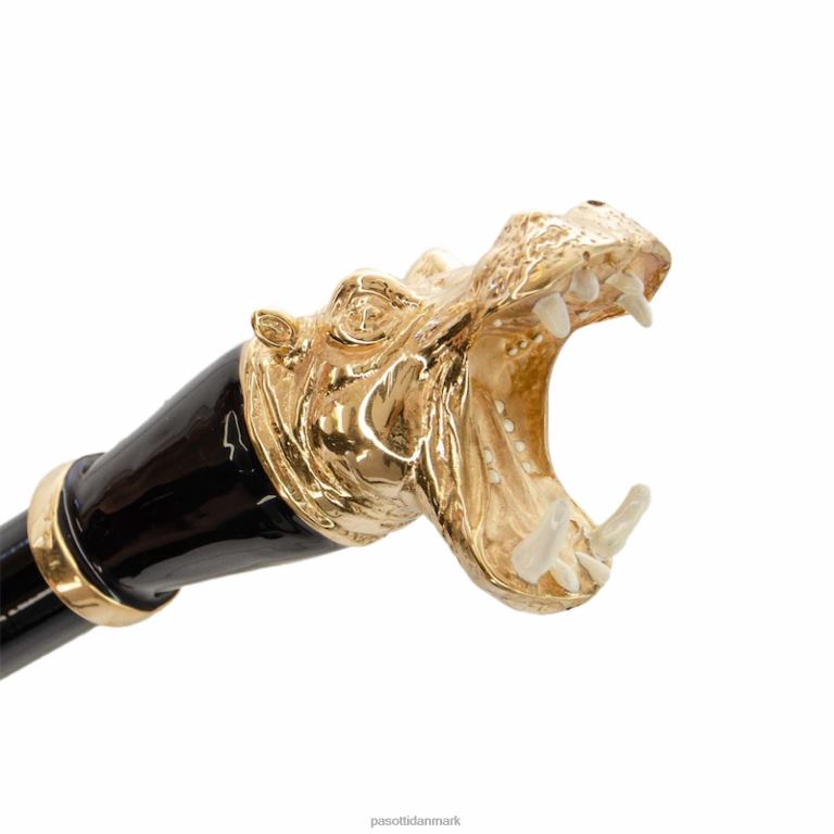 unisex PASOTTI cs k2pc - flodhestehorn 824L2294