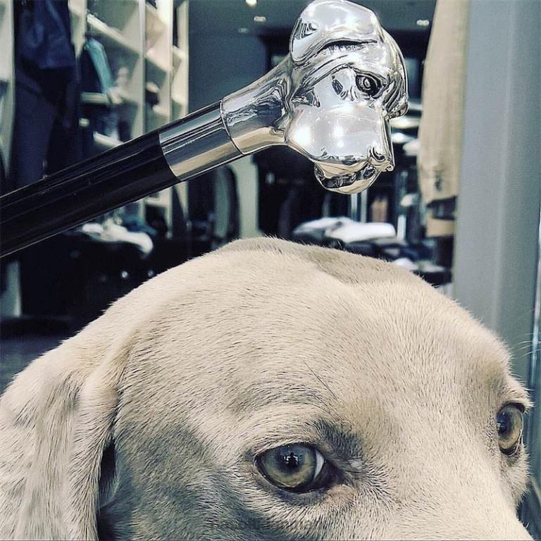 unisex PASOTTI cs w27 - sølv labrador skohorn 824L2261