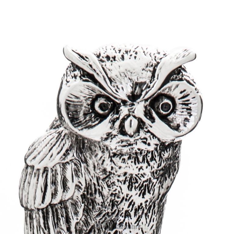 unisex PASOTTI cs w44 - sølvugle skohorn 824L2301