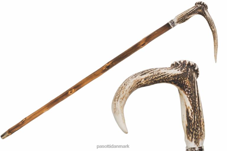 unisex PASOTTI ba ccl - hjortegevirstok 824L2219