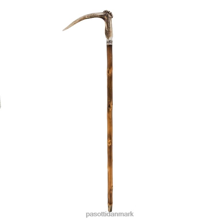 unisex PASOTTI ba ccl - hjortegevirstok 824L2219