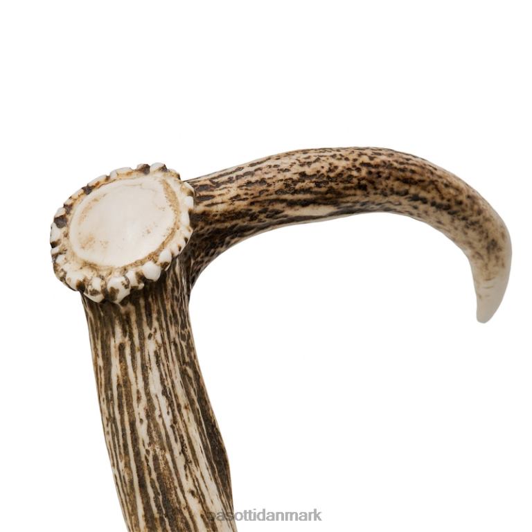 unisex PASOTTI ba ccl - hjortegevirstok 824L2219