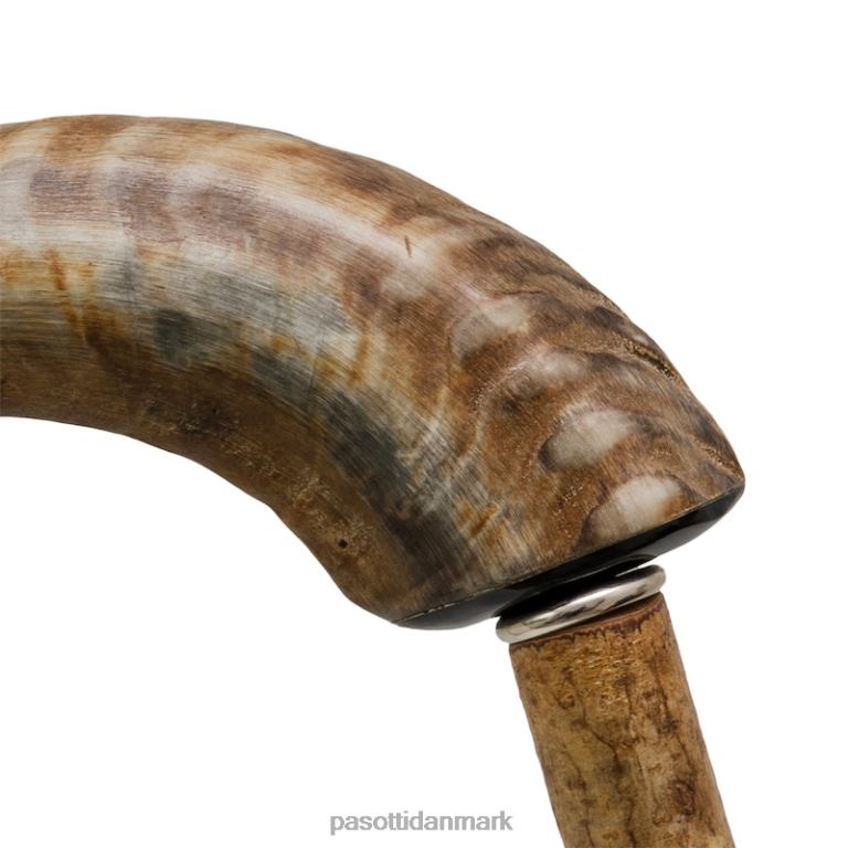 unisex PASOTTI ba cm - fårehornsstok 824L2237