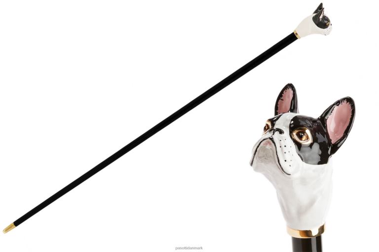 unisex PASOTTI ba k61bi - fransk bulldogcane 824L2257