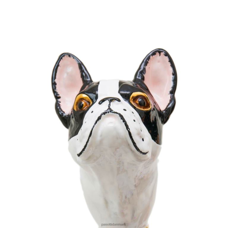 unisex PASOTTI ba k61bi - fransk bulldogcane 824L2257