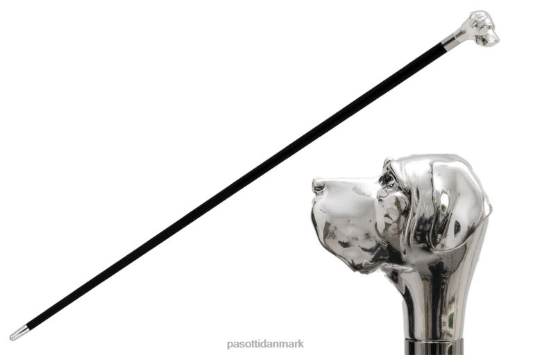 unisex PASOTTI ba w27 - sølv labrador stok 824L2233