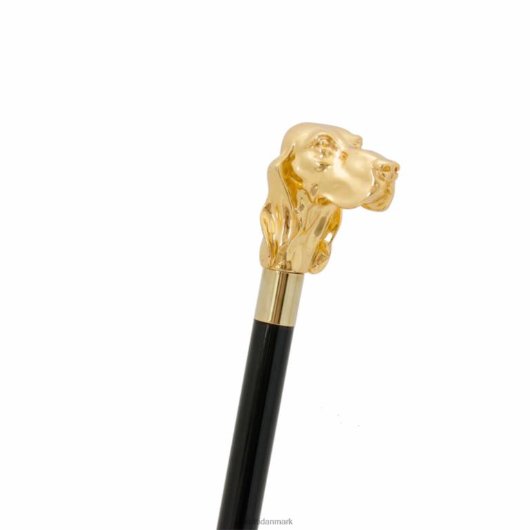 unisex PASOTTI ba w40or - gylden fidocane 824L2255