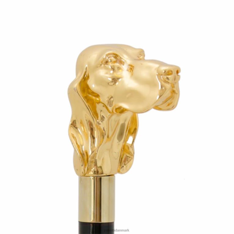 unisex PASOTTI ba w40or - gylden fidocane 824L2255